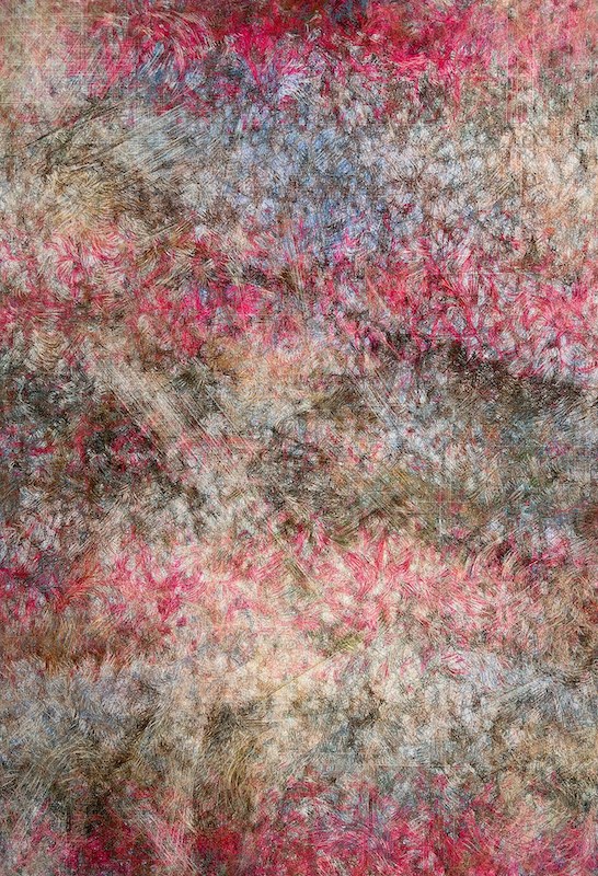 Under the Sakuras — Florian Zumbrunn
